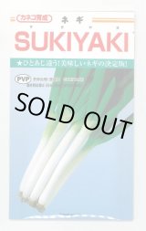 画像: 送料無料　[ねぎ]　SUKIYAKI　20ml　カネコ種苗