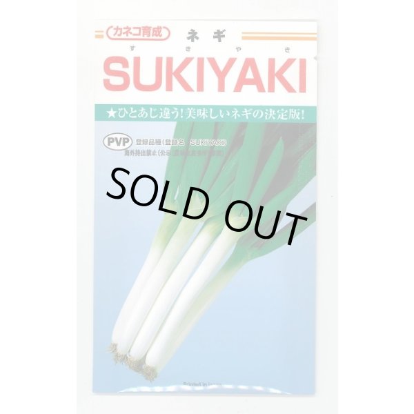 画像1: 送料無料　[ねぎ]　SUKIYAKI　20ml　カネコ種苗（株） (1)