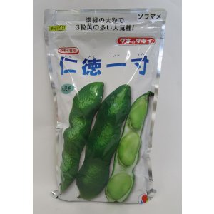 画像: [そら豆]　仁徳一寸　1L(およそ240粒)　タキイ種苗
