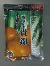 画像: 送料無料　[たまねぎ]　貴錦　2dl　カネコ種苗（株）
