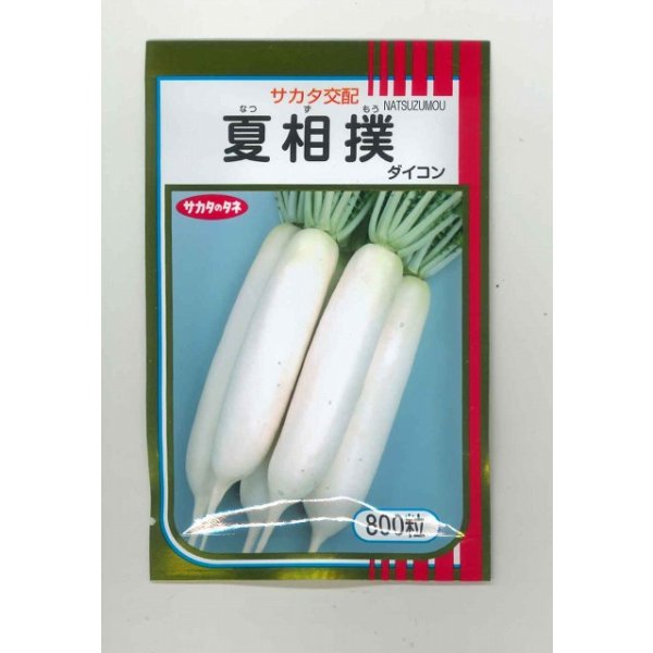 画像1: 送料無料 [大根] 夏相撲 8千粒 (株)サカタのタネ (1)
