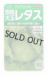 画像: 送料無料　[レタス]　耐病大玉レタス(フリフリッカー)およそ140粒　(株)サカタのタネ　実咲350（003027）