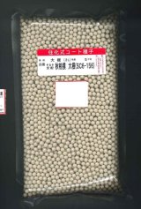 画像: 送料無料[大根] 秋相撲 ペレット種子5000粒 (株)サカタのタネ