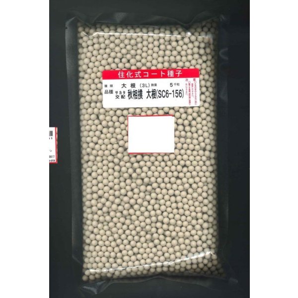 画像1: 送料無料[大根] 秋相撲 ペレット種子5000粒 (株)サカタのタネ (1)