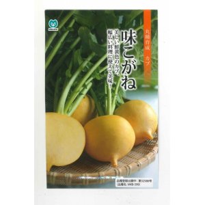 画像: [かぶ]　味こがね　　2.5ml（およそ980粒）　丸種（株）