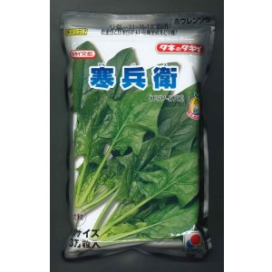 画像: [ほうれんそう]　寒兵衛　3万粒(種子サイズ：M)　タキイ種苗(株)