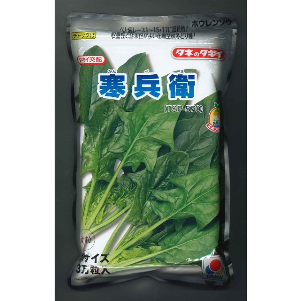 画像1: [ほうれんそう] 寒兵衛 3万粒(種子サイズ：M) タキイ種苗(株) (1)
