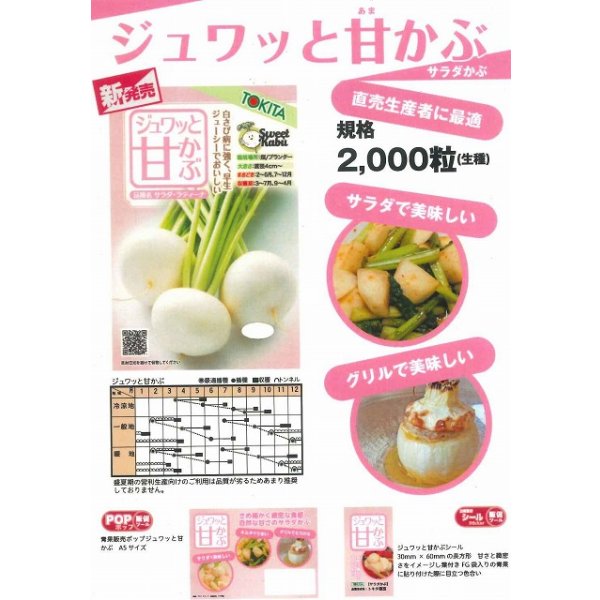 画像2: 送料無料　かぶ　ジュワッと甘かぶ　2千粒　トキタ種苗(株) (2)