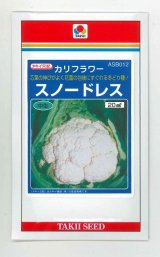 画像: 送料無料　[カリフラワー]　スノードレス　20ml　タキイ種苗(株)