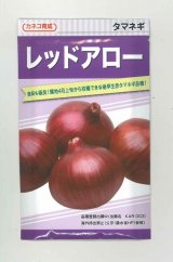 画像: 送料無料　[たまねぎ]　レッドアロー　20ml　カネコ種苗（株）