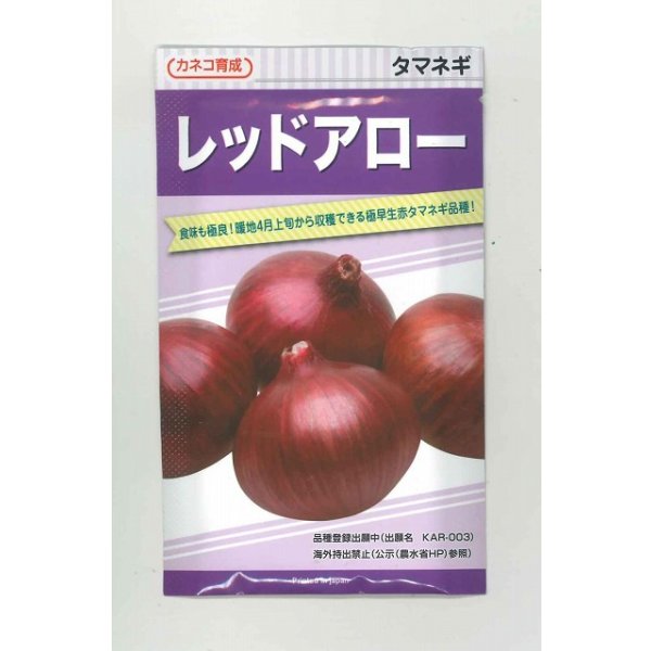 画像1: 送料無料　[たまねぎ]　レッドアロー　20ml　カネコ種苗（株） (1)