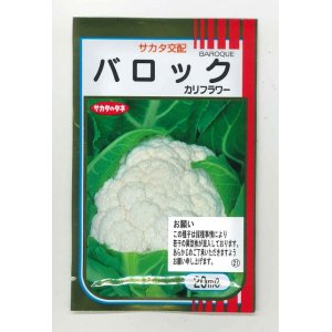 画像: [カリフラワー]　バロック　20ml　サカタ交配　