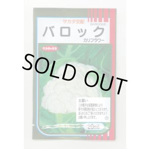 画像: 送料無料　[カリフラワー]　バロック　20ml　(株)サカタのタネ
