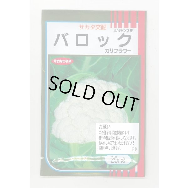 画像1: 送料無料　[カリフラワー]　バロック　20ml　(株)サカタのタネ (1)
