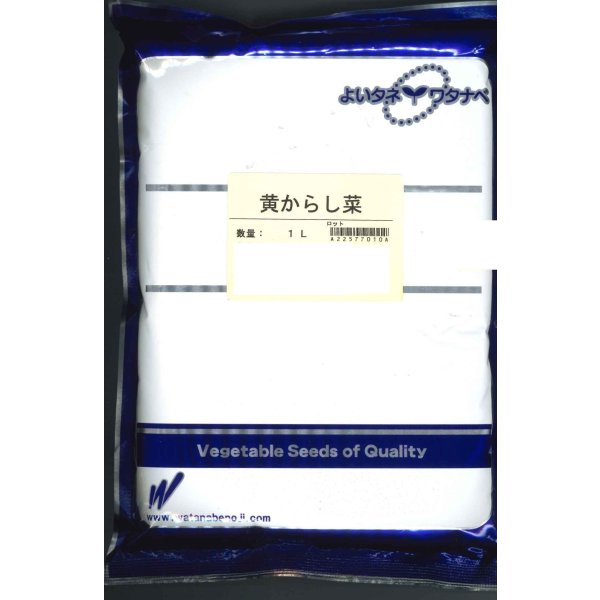 画像1: 黄からし菜　1L (1)