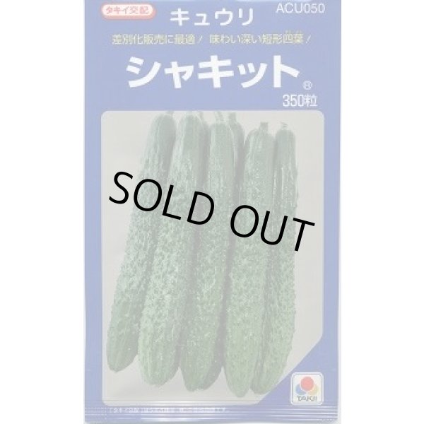 画像1: [キュウリ] シャキット 350粒 タキイ種苗(株) (1)