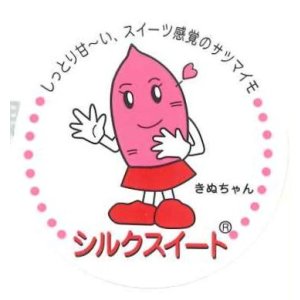 画像: 送料無料　青果シール　シルクスイート　1000枚　カネコ種苗