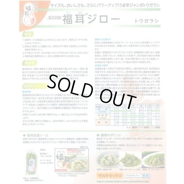 画像4: 送料無料　[トウガラシ]　福耳ジロー　約25粒　(株)サカタのタネ　実咲450（003730） (4)