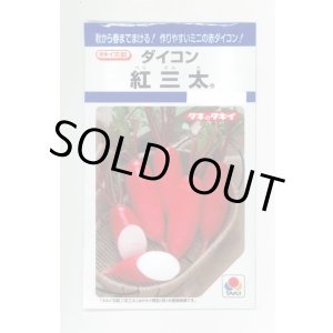 画像: 送料無料　[大根]　紅三太　7ml　タキイ種苗(株)　DF