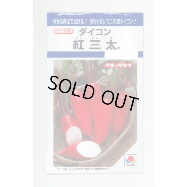 画像1: 送料無料　[大根]　紅三太　7ml　タキイ種苗(株)　DF (1)