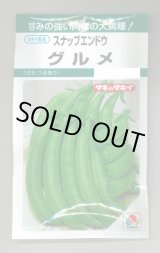画像: 送料無料　[えんどう]　スナップエンドウ　グルメ　18ml(およそ30粒)　タキイ種苗(株)　GF