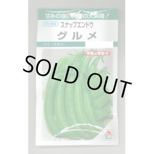 画像: 送料無料　[えんどう]　スナップエンドウ　グルメ　18ml(およそ30粒)　タキイ種苗(株)　GF