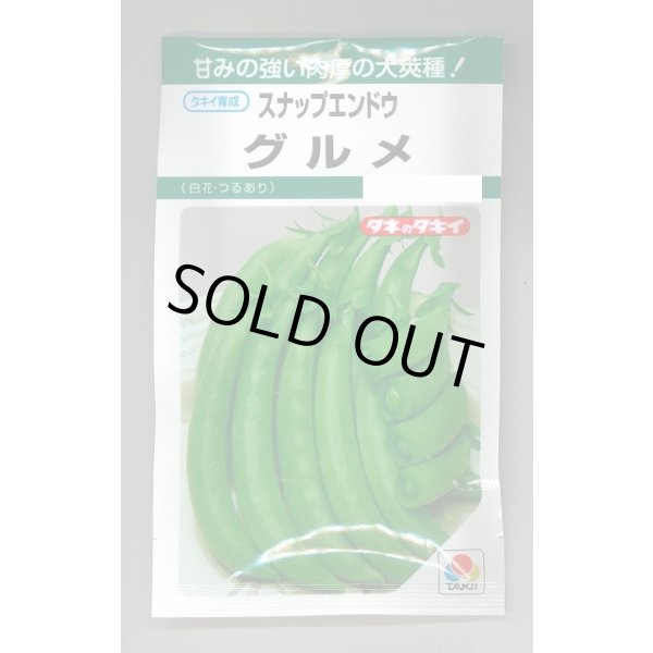 画像1: 送料無料　[えんどう]　スナップエンドウ　グルメ　18ml(およそ30粒)　タキイ種苗(株)　GF (1)