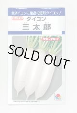 画像: 送料無料　[大根]　三太郎　7ml　タキイ種苗(株)　DF