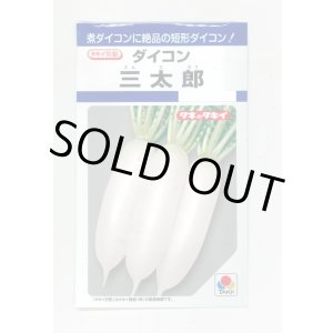 画像: 送料無料　[大根]　三太郎　7ml　タキイ種苗(株)　DF