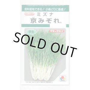 画像: みずな 京みぞれ 5ml タキイ種苗(株) GF