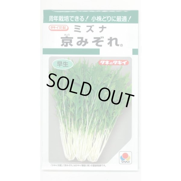 画像1: みずな 京みぞれ 5ml タキイ種苗(株) GF (1)