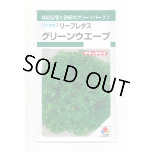 画像: 送料無料　[レタス]　リーフレタス　グリーンウェーブ　1.8ml　タキイ種苗(株)　GF