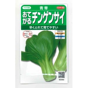 画像: [中国野菜]　チンゲンサイ　青帝チンゲンサイ　約500粒　サカタのタネ（株）　実咲300