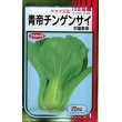 画像1: [中国野菜]　チンゲンサイ　青帝チンゲンサイ　20ml（2024年5％増量）　サカタのタネ（株） (1)