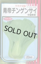 画像: 送料無料　[中国野菜]　チンゲンサイ　青帝チンゲンサイ　20ml　(株)サカタのタネ