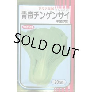 画像: 送料無料　[中国野菜]　チンゲンサイ　青帝チンゲンサイ　20ml　(株)サカタのタネ