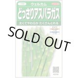 画像: 送料無料　[アスパラガス]　ウェルカム　約20粒　(株)サカタのタネ　実咲450（003040）