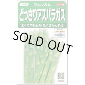 画像: 送料無料　[アスパラガス]　ウェルカム　約20粒　(株)サカタのタネ　実咲450（003040）