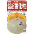 画像1: [かぼちゃ]　雪化粧　　約8粒　サカタのタネ（株）　実咲400 (1)