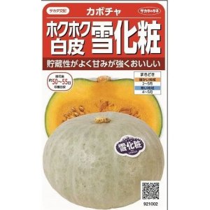 画像: [かぼちゃ]　雪化粧　　約8粒　サカタのタネ（株）　実咲400