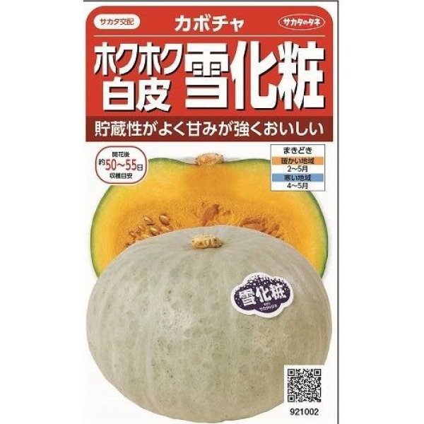 画像1: 送料無料　[かぼちゃ]　雪化粧　約8粒　(株)サカタのタネ　実咲450（002868） (1)