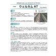 画像3: 送料無料　[アスパラガス]　ウェルカムAT　100粒　(株)サカタのタネ (3)