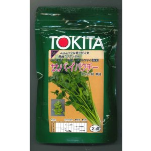 画像: [ハーブの種]　コリアンダー　サバイパクチー　2dl　トキタ種苗（株）