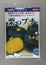 画像: 送料無料　[かぼちゃ]　栗っプチ　100粒　(株)サカタのタネ