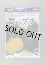 画像: 送料無料　[かぼちゃ]　栗っプチ　100粒　(株)サカタのタネ