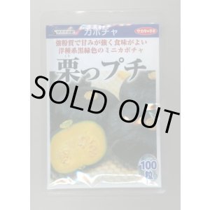 画像: 送料無料　[かぼちゃ]　栗っプチ　100粒　(株)サカタのタネ