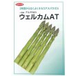 画像2: 送料無料　[アスパラガス]　ウェルカムAT　100粒　(株)サカタのタネ (2)