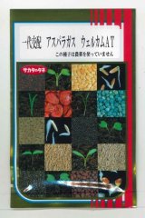 画像: 送料無料 [アスパラガス] ウェルカムAT 100粒 (株)サカタのタネ