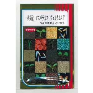 画像: 送料無料 [アスパラガス] ウェルカムAT 100粒 (株)サカタのタネ