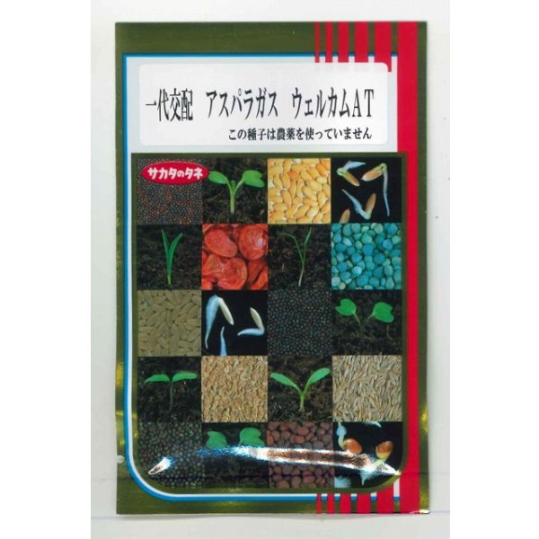 画像1: 送料無料 [アスパラガス] ウェルカムAT 100粒 (株)サカタのタネ (1)